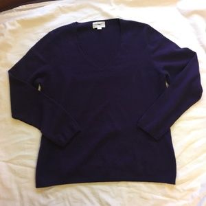 100% Cashmere purple v-neck sweater Charter Club L